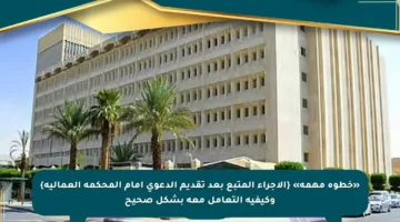 «خطوة مهمة» {الإجراء المتبع بعد تقديم الدعوى أمام المحكمة العمالية} وكيفية التعامل معه بشكل صحيح